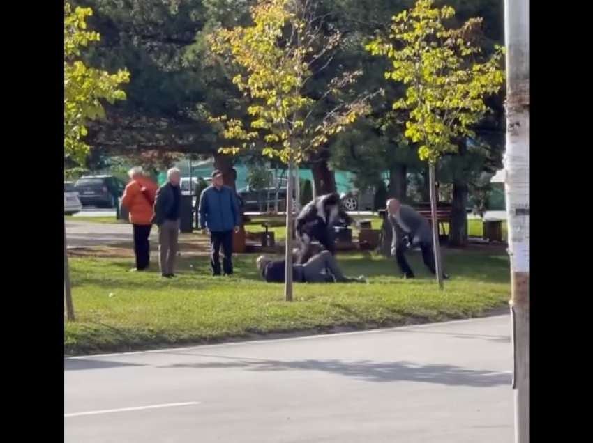 Pamjet/ Rrahje brutale mes disa të moshuarve një park të Prishtinës