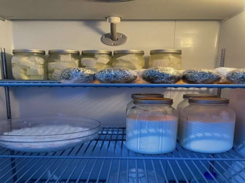 ​Gabimi që mund ta bëni kur e vendosni qumështin ose kosin në frigorifer