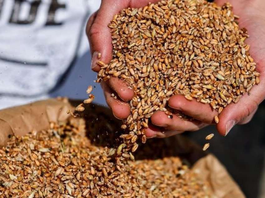 Tërheqja e Rusisë nga marrëveshja me Ukrainën kthen “përmbys” tregjet, çmimet e drithërave pritet të rriten