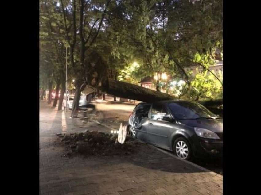 Era e fortë rrëzon pemën mbi një makinë në Tiranë  