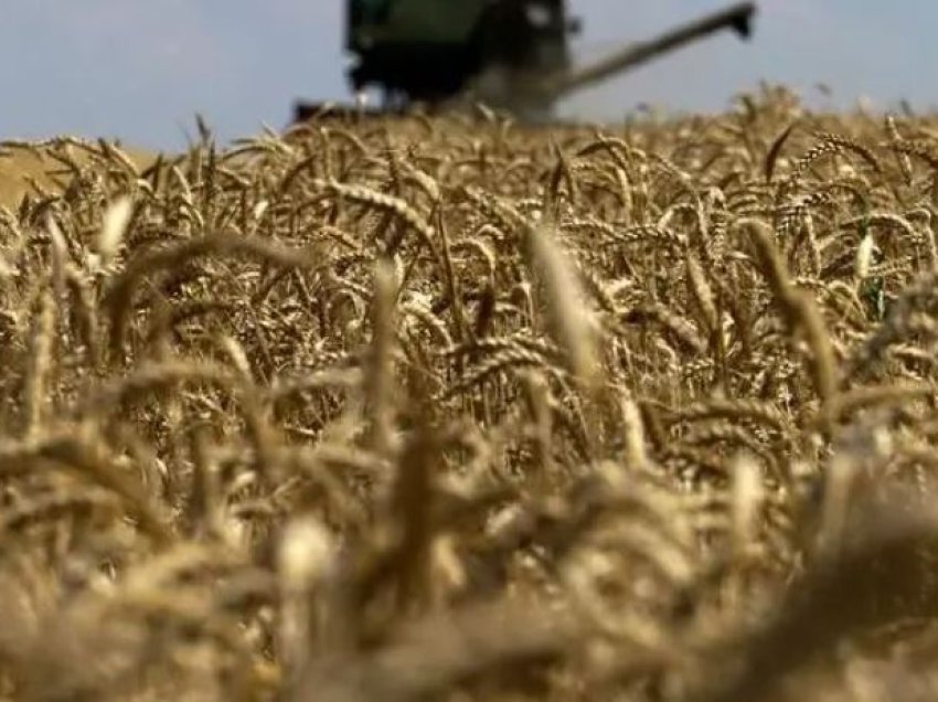 Polonia do të ndalojë përkohësisht importet e grurit në Ukrainë