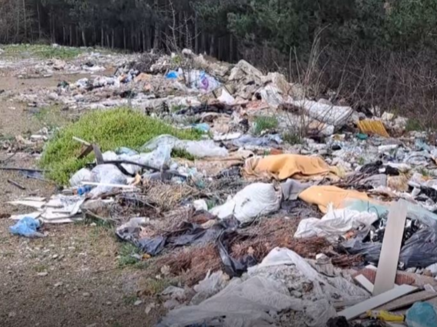 Deponi e egër afër parkut të pishave në Sllupçan, Arifi: E pastrojmë por njerëz të papërgjegjshëm hedhin sërish mbeturina