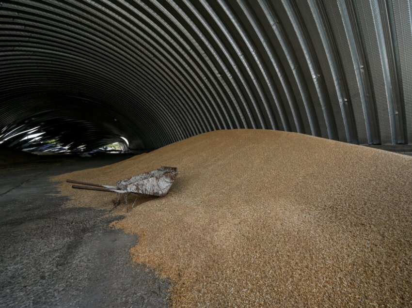Polonia ndalon importet e drithërave dhe ushqimeve nga Ukraina