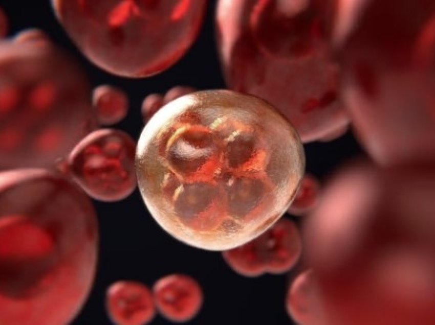 Shkencëtarët italianë zbulojnë molekulën që bllokon qelizat e kancerit, shpresë për ilaçe të reja