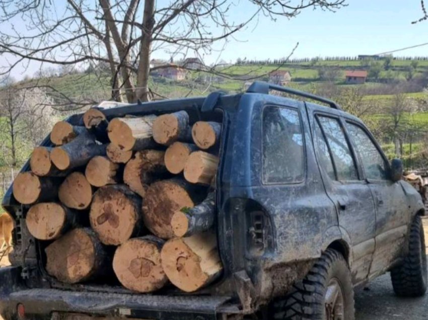 Plani operativ “Mbrojtja e Pyjeve” në Shtërpcë  