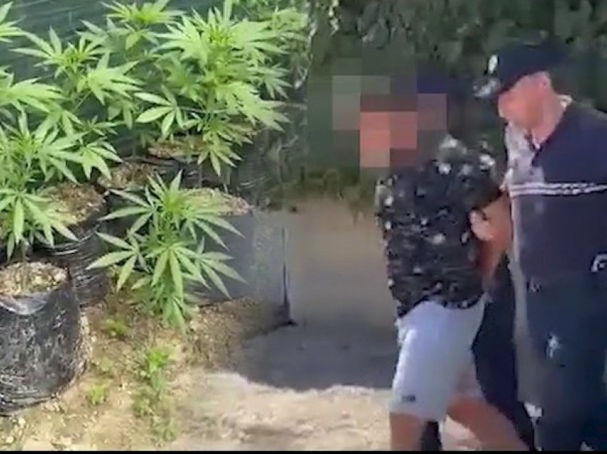 “Ushtria, bastioni i fundit i drogës në Shqipëri”, ‘shpërthen’ deputeti i njohur