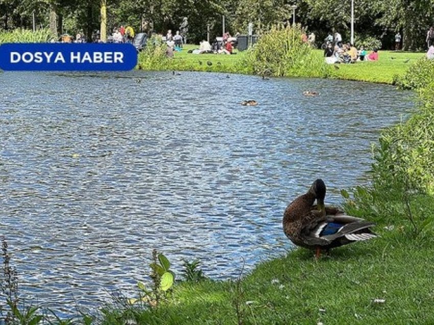 ​Parku më i madh i Amsterdamit mirëpret mbi 10 milionë vizitorë çdo vit