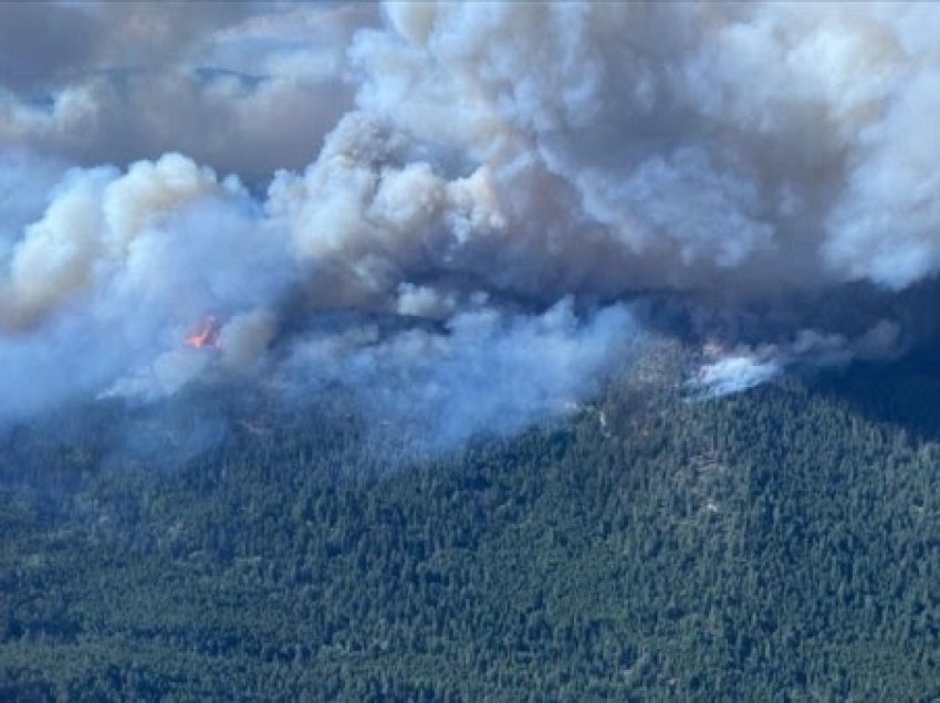 ​Provinca kanadeze e British Columbia shpall gjendjen e emergjencës për shkak të zjarreve
