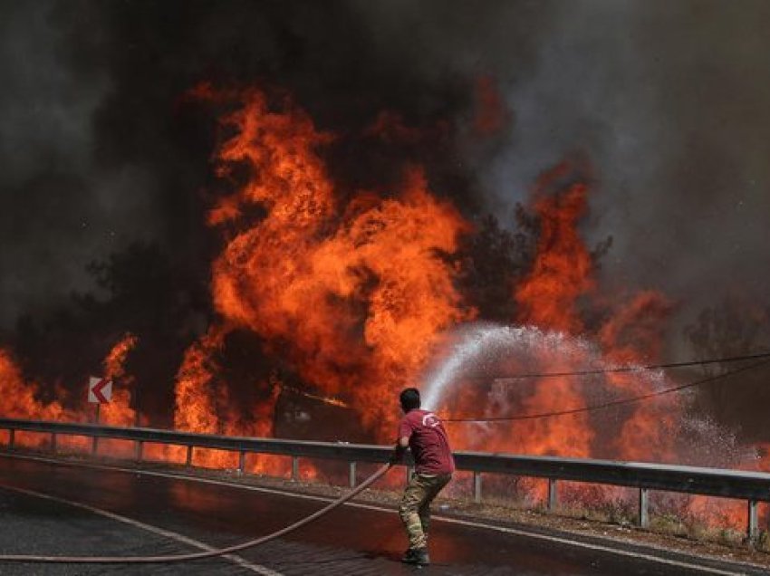 Zjarret shpërthejnë në të gjithë Bullgarinë juglindore, rreth 1 000 hektarë tokë është prekur