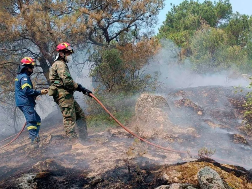 Tragjike në Greqi, gjenden të djegur 18 trupa në një pyll në pjesën veriore të vendit