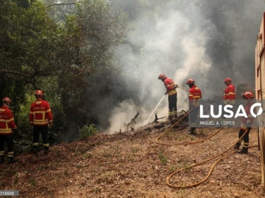 Portugali, pjesa më e madhe e kontinentit në rrezik maksimal nga zjarret