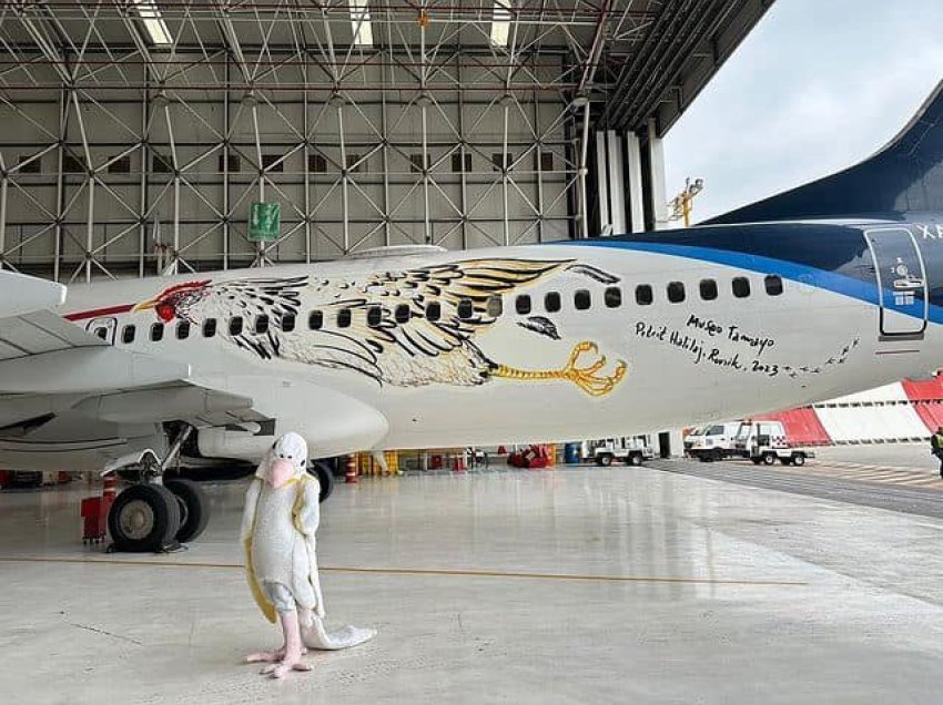 Krahët e Boeing 737 mbulohen me veprën e artistit nga Kosova, Petrit Halilaj