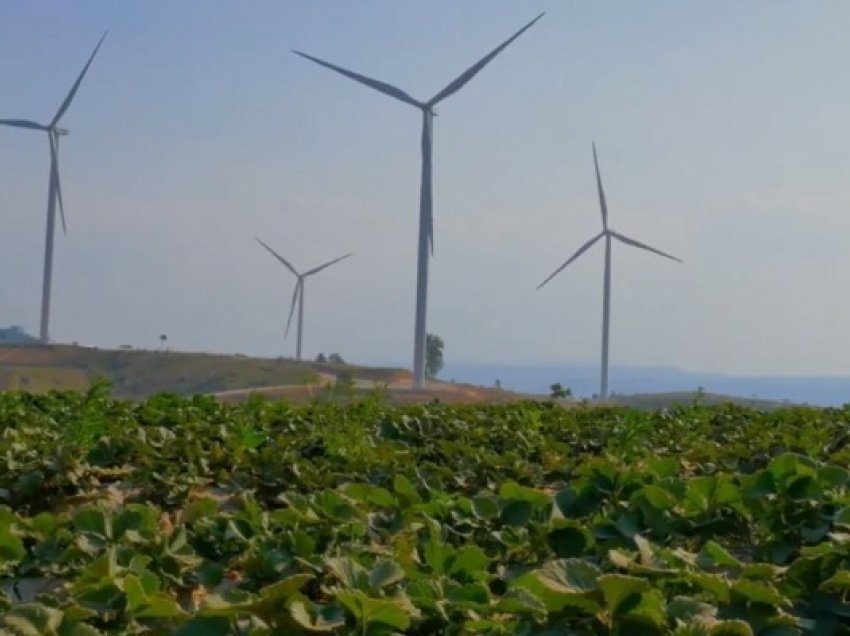 ​BEI ndan 5 miliardë euro për prodhuesit e energjisë së erës
