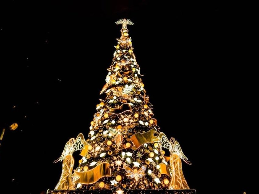 Rrëzohet pema e Krishtlindjeve në Belgjikë, 1 viktimë dhe 2 të plagosur