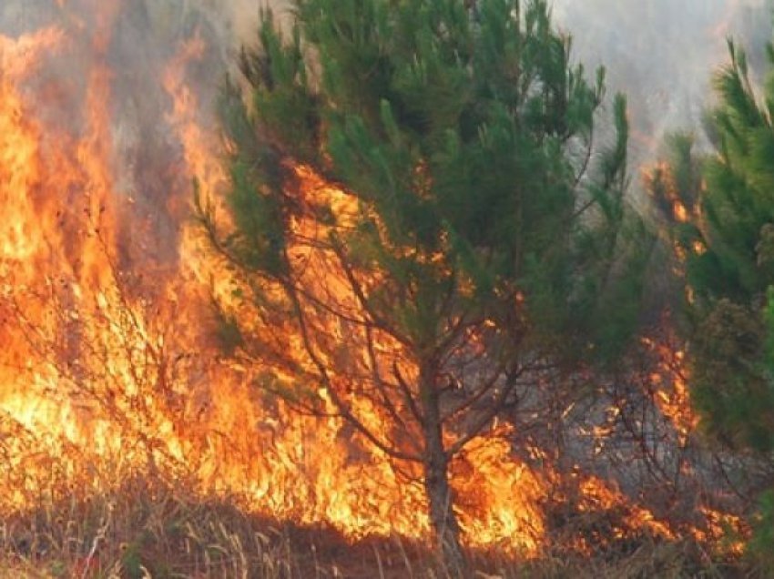 Shpërthen zjarr në një deponi në Strumicë