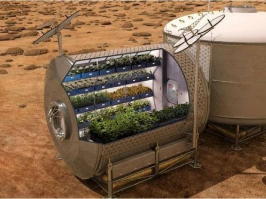 ​NASA planifikon të mbjellë patate në Mars