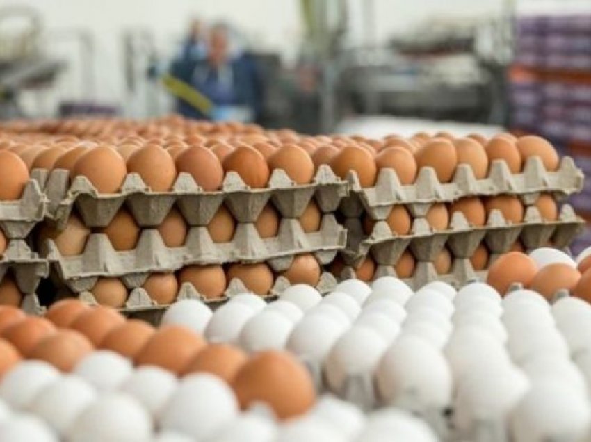 Rritje enorme e çmimit të vezëve në Kosovë