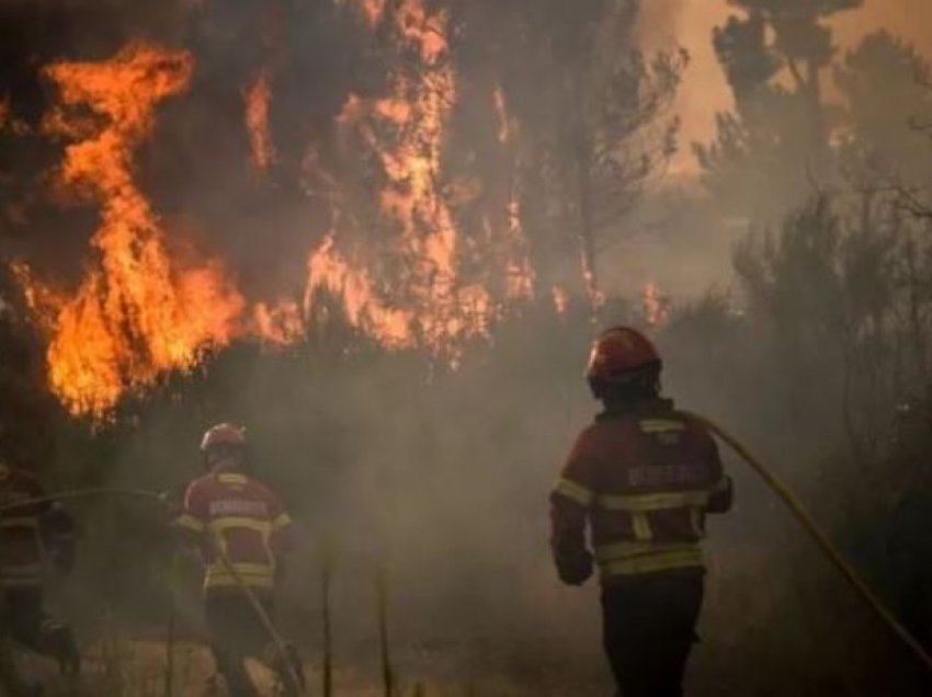 Zjarr në një sipërfaqe të pyllëzuar në Vlorë