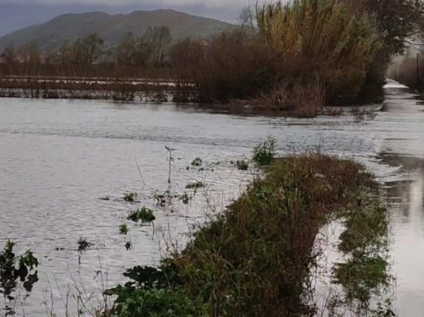 1400 Ha tokë në pushtetin e ujit/ Si paraqitet situata nga përmbytjet në Shkodër
