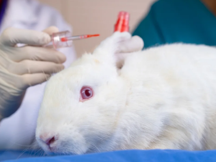 Kanadaja ndalon zyrtarisht testimin e produkteve kozmetike tek kafshët