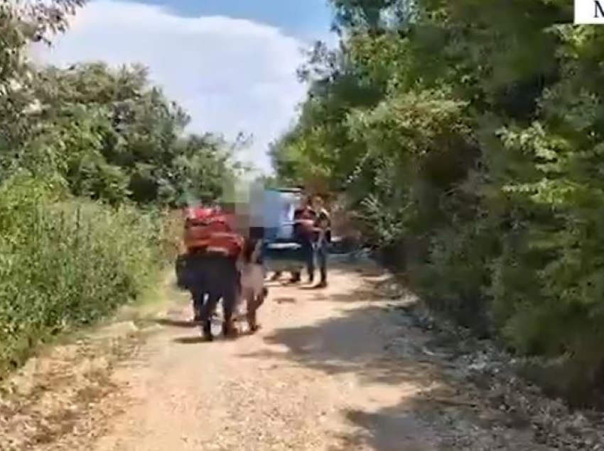 Asgjësohen 70 bimë narkotike në Manzë të Durrësit, arrestohen tre persona