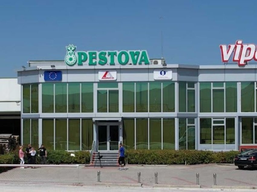 ​Kompania “Pestova” më pak patate këtë vit, pësoi dëme të mëdha nga vërshimet