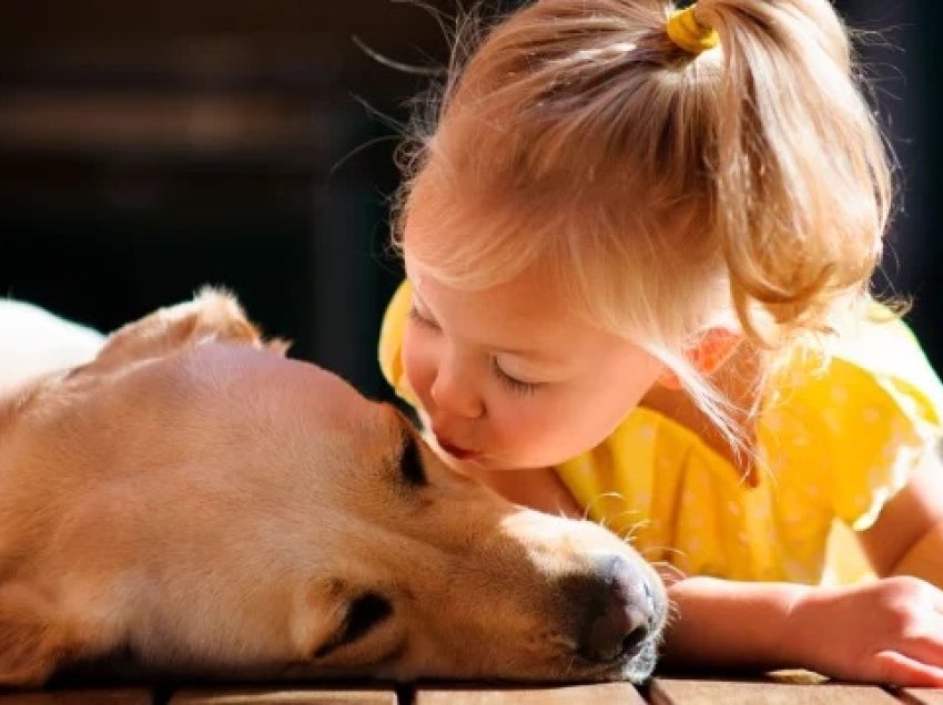 Cilat janë racat më miqësore të qenve për fëmijët?