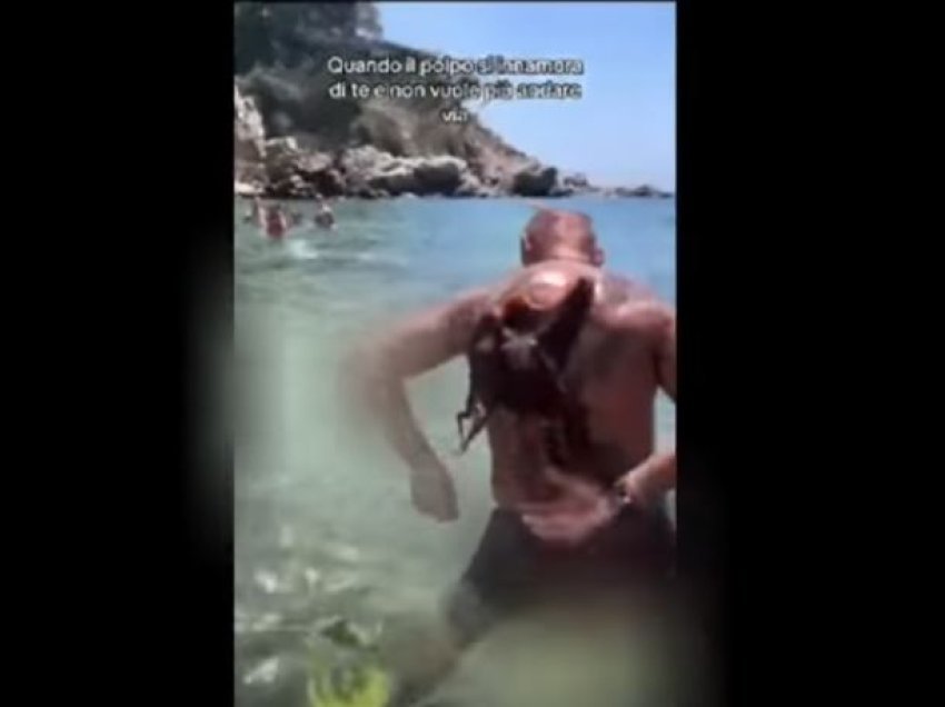 Betejë mes një turisti dhe oktapodi, videoja bëhet virale në rrjet