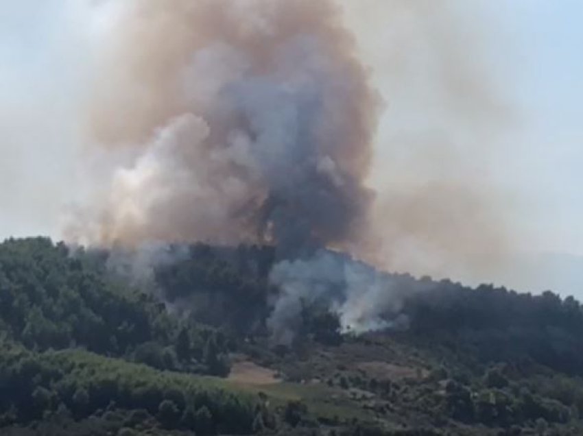 Flakët vazhdojnë të përhapen në Vlorë, shefi i zjarrfikësve: Jemi i njëjti personel prej 3 ditësh, e kemi të pamundur ta përballojmë