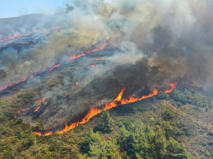 Zjarret në Greqi, Mitsotakis: Ndryshimet klimatike ‘s’janë justifikim’