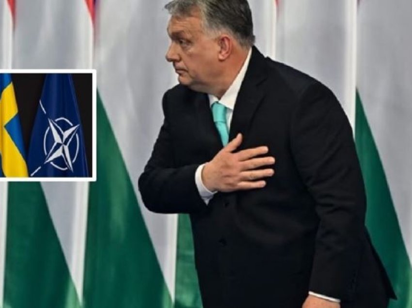 Hungaria vonon anëtarësimin e Suedisë në NATO