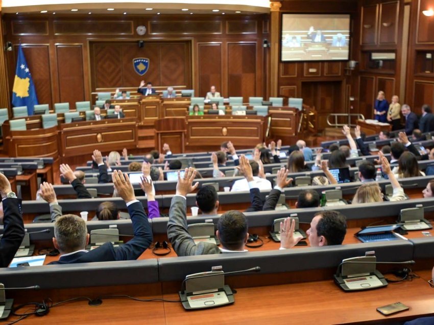Deputetja e pushtetit i gëzohet vendimit të Këshillit të Ministrave për vizat