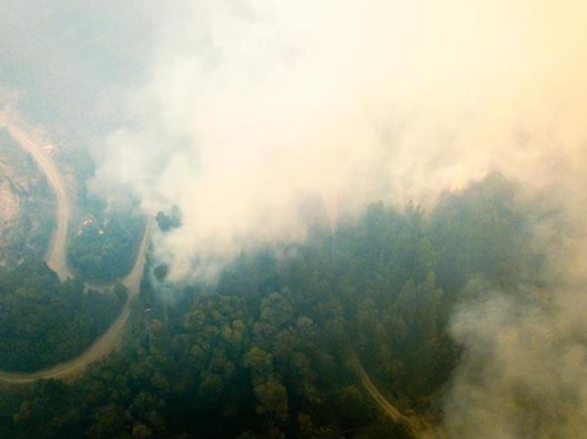 Argjentinë, zjarret djegin mijëra hektarë pyje