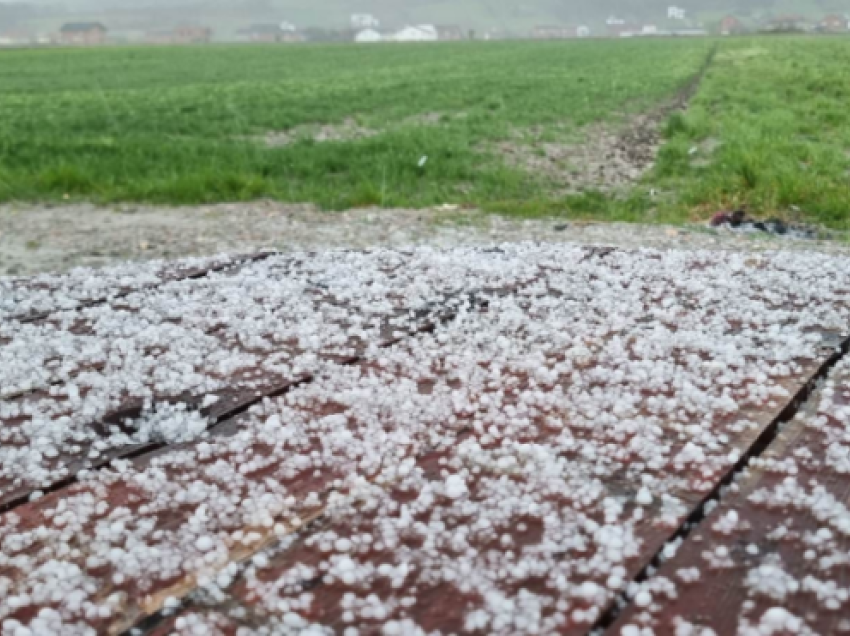 Stuhi të forta në Rahovec, kokrra të mëdha breshëri mbulojnë sipërfaqen e tokës