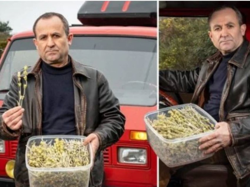 I gjetën çaj mali në makinë, policia angleze arreston shqiptarin: Menduan se ishte drogë