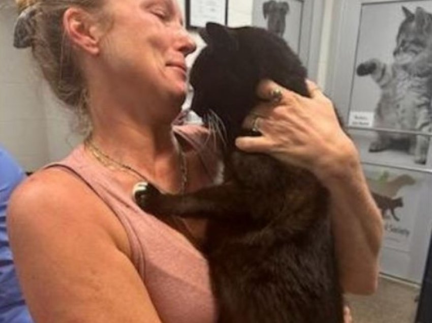 Gruaja ribashkohet pas 10 vjetësh me macen e zhdukur