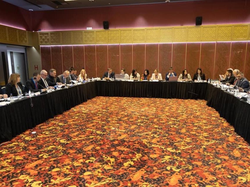 Kosova udhëheq në dy komisione të njërit prej forumeve më të mëdha të politikë të Evropës Juglindore 