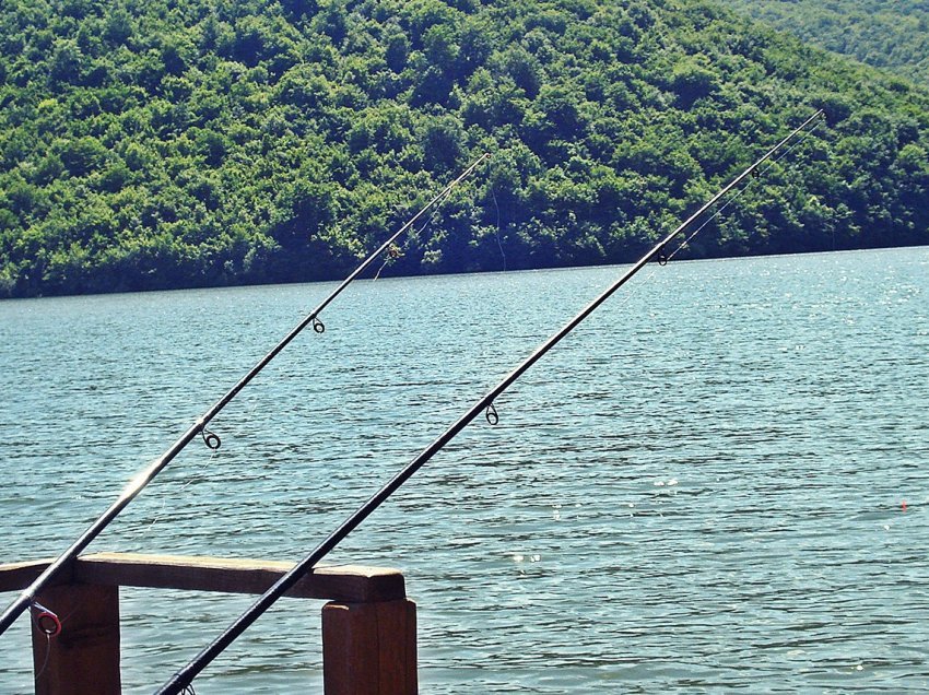 Liqeni i Ohrit me koncesion për peshkimin, Nikollovski: Do të parandalohet abuzimi