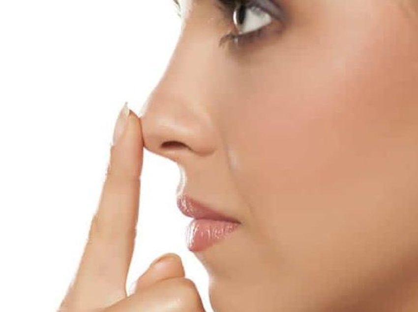 Çdo vrimë hunde ka sensin e vet të dallueshëm të nuhatjes
