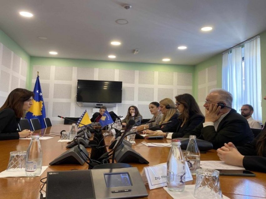 Deputetja nga Bosnja Sabina Çudiç ka një premtim të rëndësishëm për kolegët e saj në Kosovë