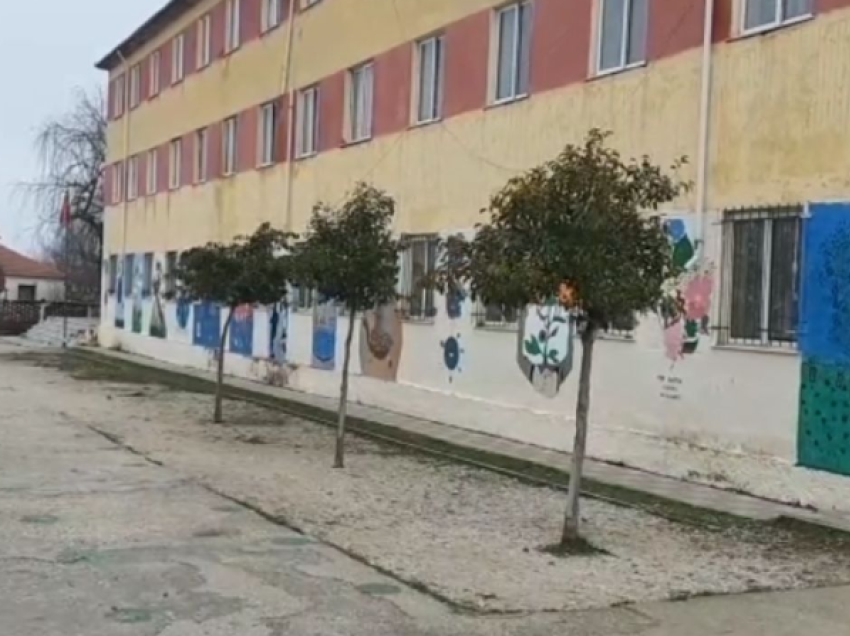 Sherr mes nxënësve në Pogradec/ Plagosen dy të miturit