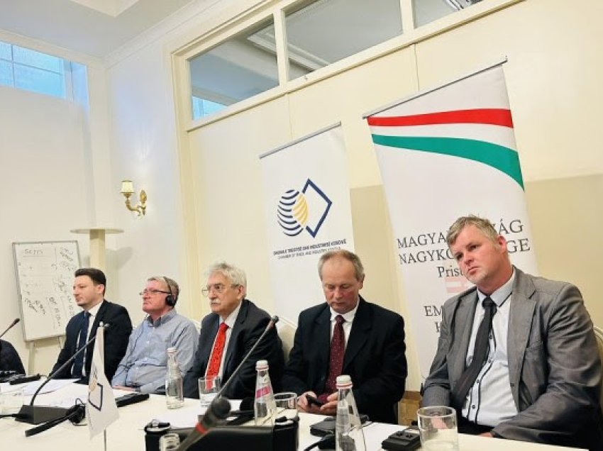 Dhoma e Tregtisë me Ambasadën Hungareze organizuan trajnim për bizneset e sektorit të bujqësisë