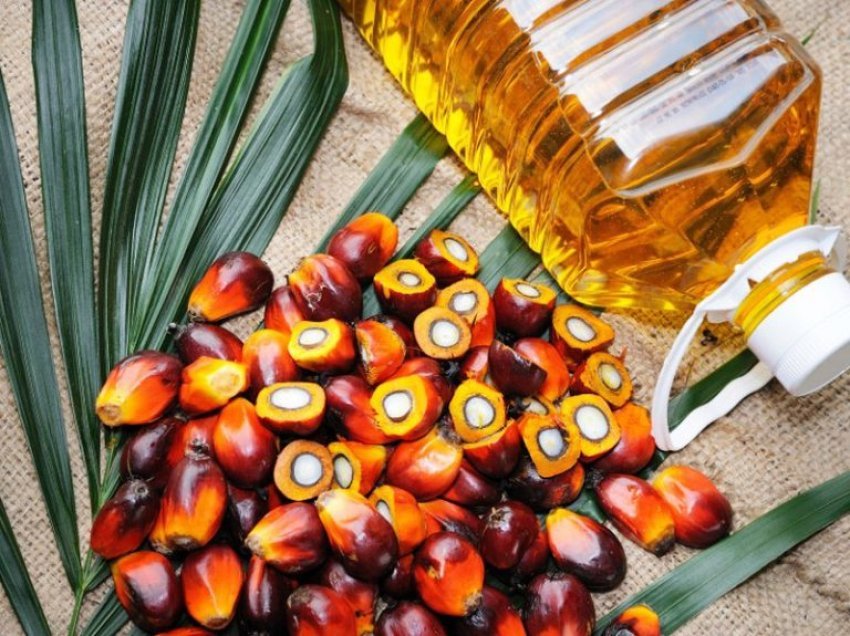 Vaji i palmës ndikon në përhapjen e kancerit