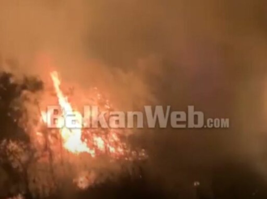 Vatra zjarri në fshatrat e Vlorës, flakët e favorizuara nga era rrezikojnë disa banesa