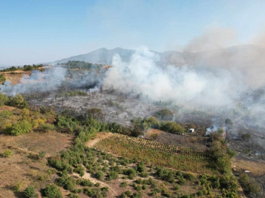 QMK: Ditën e djeshme janë intervenuar pesë zjarre, një zjarr aktiv në Dibër, afër fshatit “Krasnicë”