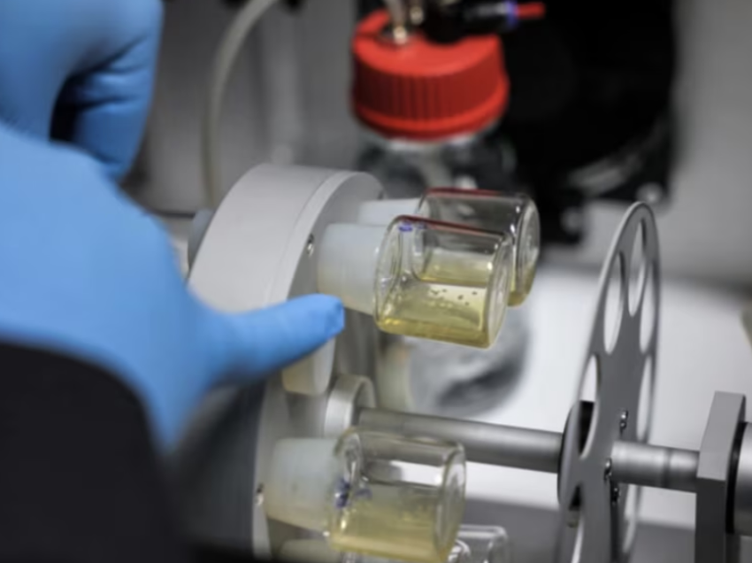 Shkencëtarët krijojnë në laborator modele embrionësh njerëzorë