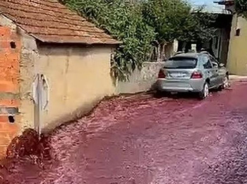 Fshati në Portugali përmbytet me dy milionë litra verë