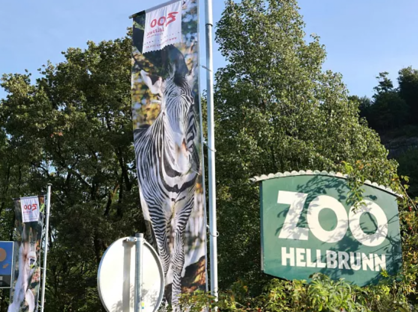 Rinoceronti vret një kujdestare të një kopshti zoologjik në Austri, lëndon rëndë një tjetër