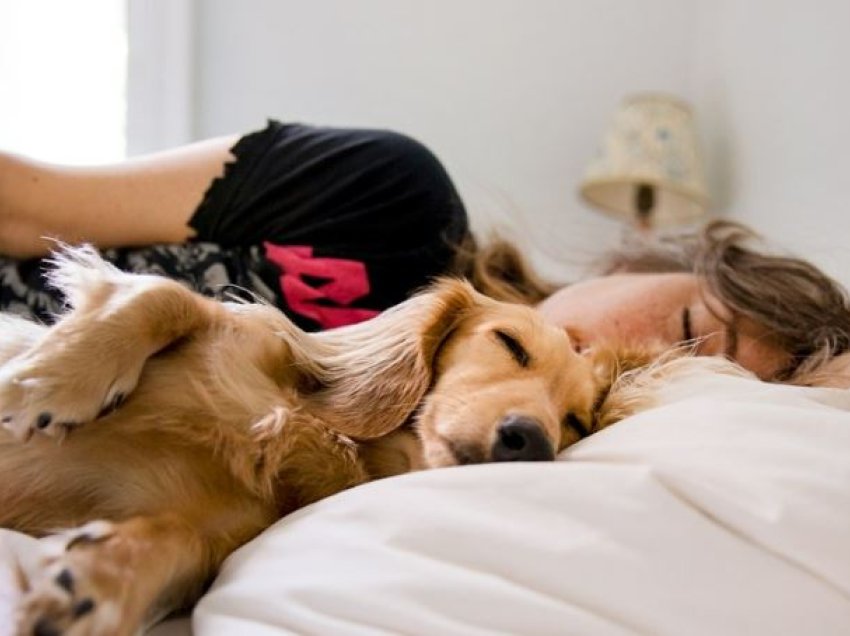 Studimi: Gratë flenë më mirë me një qen se me partnerin e tyre