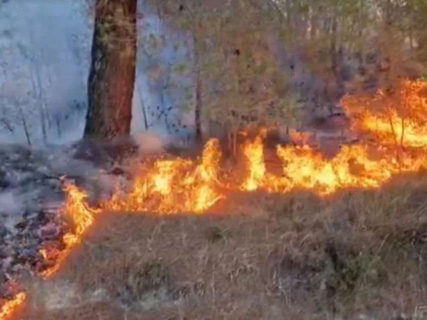 QMK: Janë shuar 18 zjarre në ambiente të hapura në Maqedoni